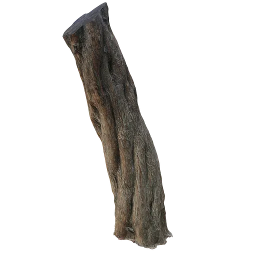 Highly detailed 3D model of a tree trunk with realistic textures suitable for Blender rendering.