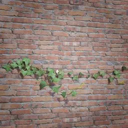 Realistic 3D ivy model for game assets, Blender compatible, with high-quality textures suitable for various scenes.
