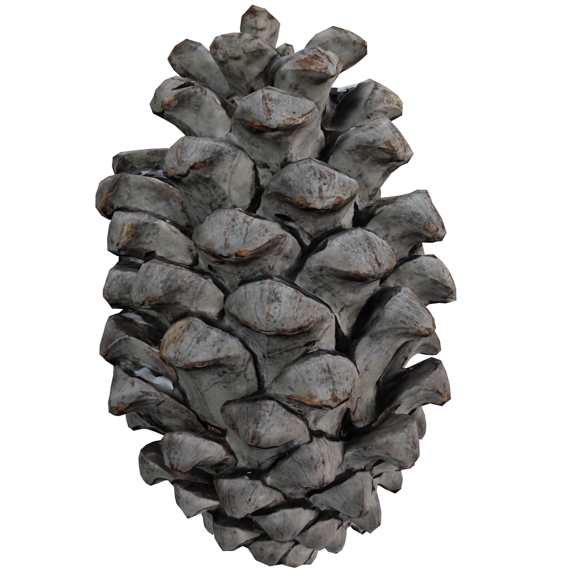 Pine Cone Free Nature Icons vrogue.co