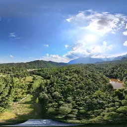 Highsky forest green tree