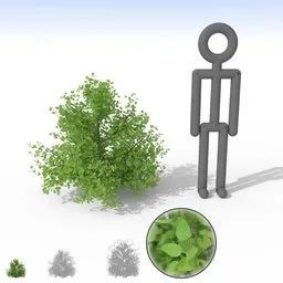 "Small pale bush 3D model for Blender 3D - perfect for nature and outdoor scenes, with separate leaves for customization. Inspired by Alfred Jensen and featuring volumetric scattering and anisotropic filtering for realistic texture. Use this simplified bush model to enhance your 3D landscaping projects."