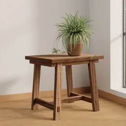 Verdant Spider Plant