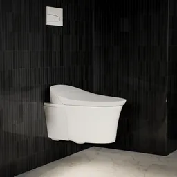 Wall Hung Toilet