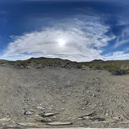 Bluesky Cloud Litter Rock Ground Tree 2