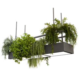 Pendant light with plants