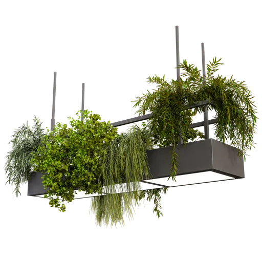 Pendant light with plants