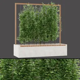 Natural Pergola Seating