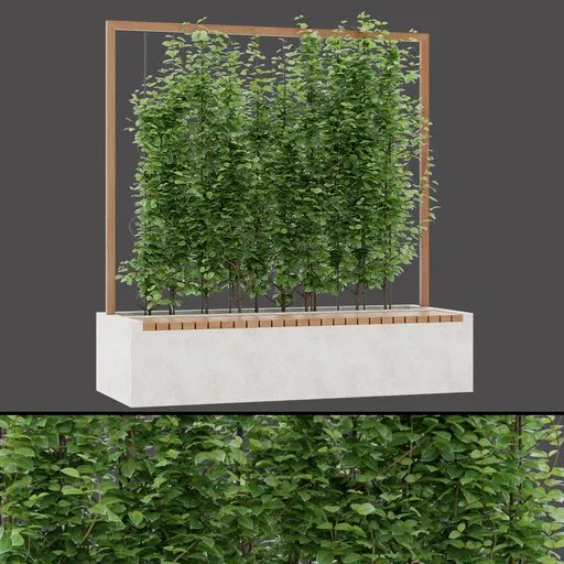 Natural Pergola Seating