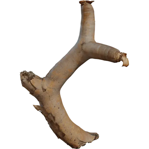Dead Quiver Branch 01