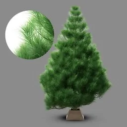 Realistic Blender 3D model of an undecorated indoor pine tree with detailed textures for interior visualization.