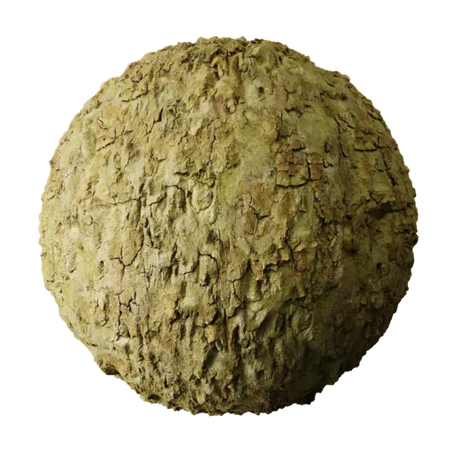 Bark