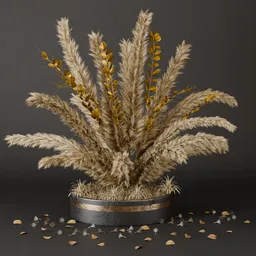 SJ-coastal pampas interior styling