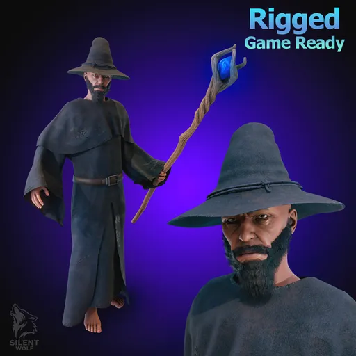 Dark Fantasy Wizard Rigged Animated