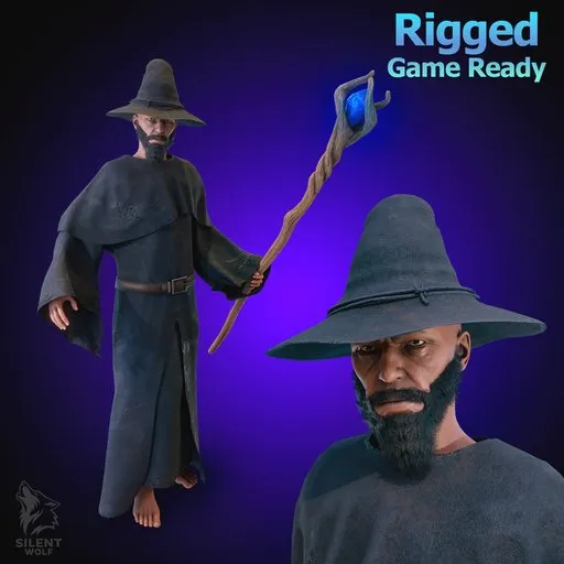 Dark Fantasy Wizard Rigged Animated
