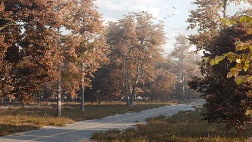 Autumn Forest Road Environment Animation