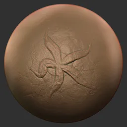 ER_Fossil Brush-Starfish