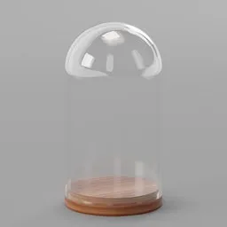 Glass Dome on a Wooden Base