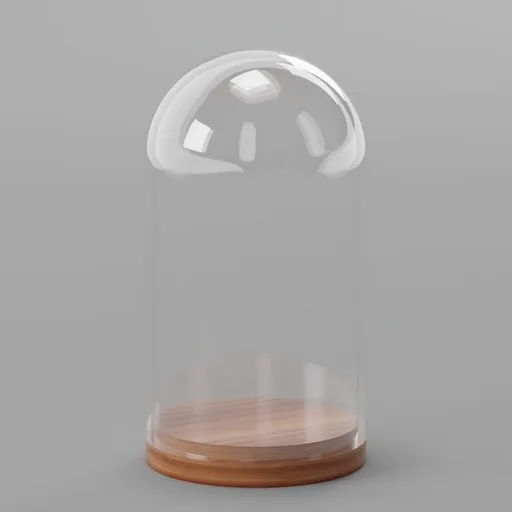 Glass Dome on a Wooden Base