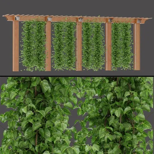 Wooden Climbing Wall Panels