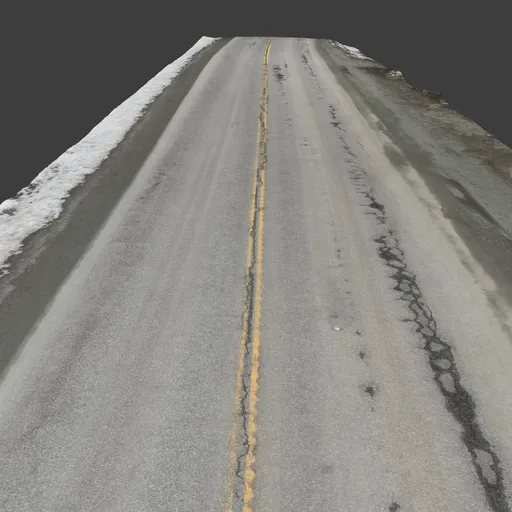 Road Rural Photoscan