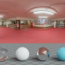 Basement Boxing Ring