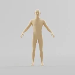 Male body reference