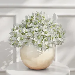 White Blossom Pot