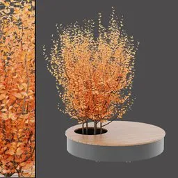 Autumn Circle Bench