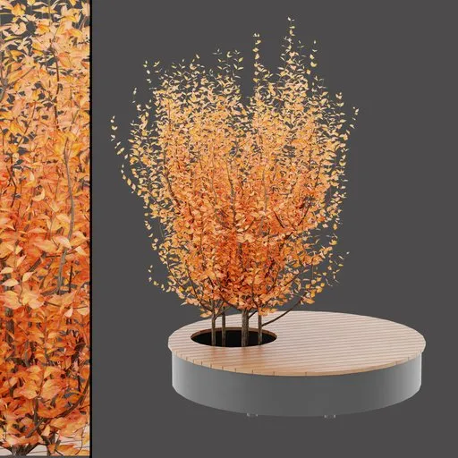 Autumn Circle Bench