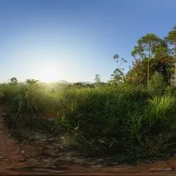 Sunrise in the morning