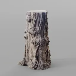 An Interesting Tree Bark
