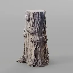 An Interesting Tree Bark