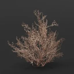 Detailed 3D dry bush model for realistic Blender scenes, suitable for game environments and architectural visualization.