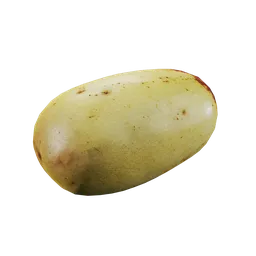 Ziziphus jujuba