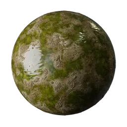Realistic PBR texture showcasing wet muddy terrain with patches of moss, perfect for 3D rendering in Blender.