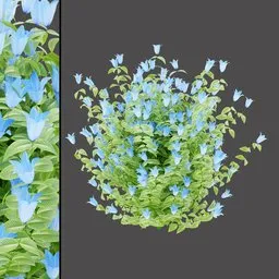 Green & Blue Shrub