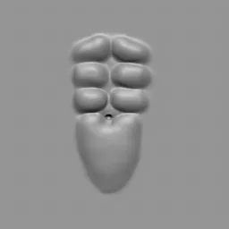 3D sculpting brush imprint for male muscle definition in Blender modeling.