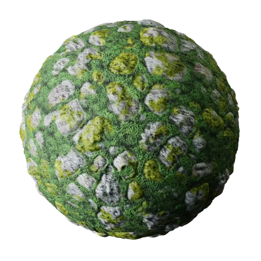 Rock with Moss