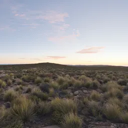 Aarfontein Dawn 2