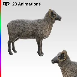 Sheep Male Animated