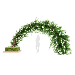 Climbing Roses Garden Bow Grow white