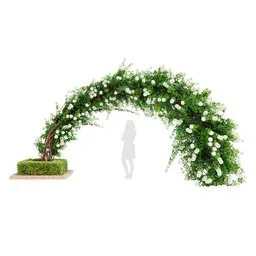 Climbing Roses Garden Bow Grow white
