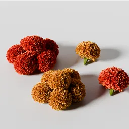 Marigold flowers yellow and orange