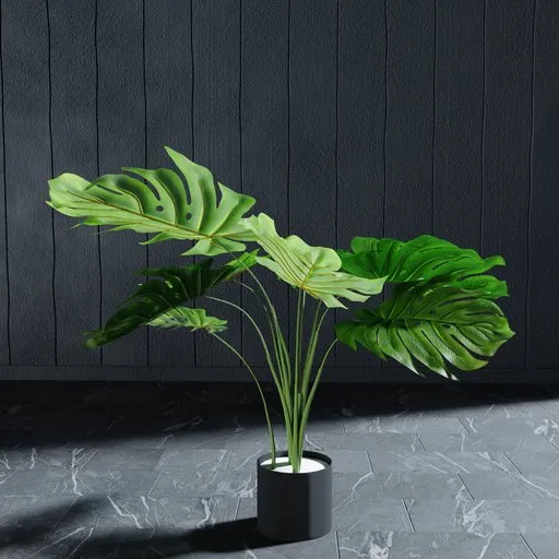 Highly detailed Blender 3D model of a Monstera plant with customizable leaves for indoor nature scene rendering.