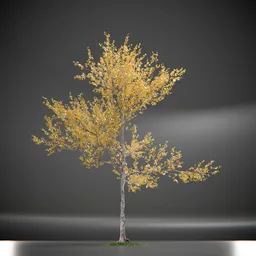 Tree Princeton Sentry Animated