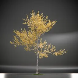Tree Princeton Sentry Animated