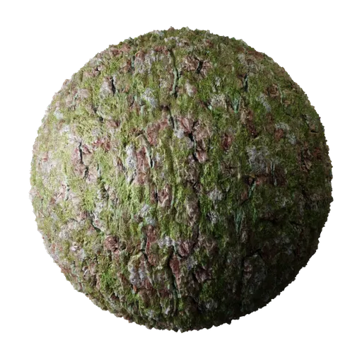 Bark Cedar Moss