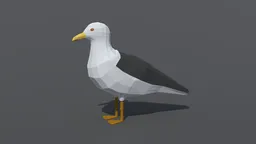 Low Poly Seagull