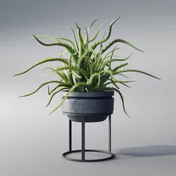 Realistic Aloe Vera 3D model in Blender, detailed succulent with textured pot for indoor scene rendering.