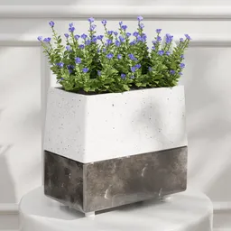 Blue Flowers